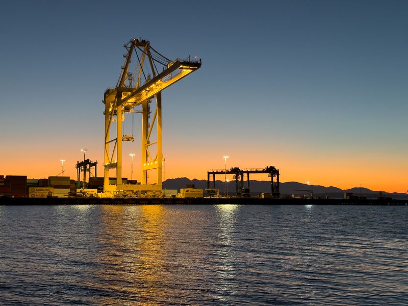 Crane at sunset