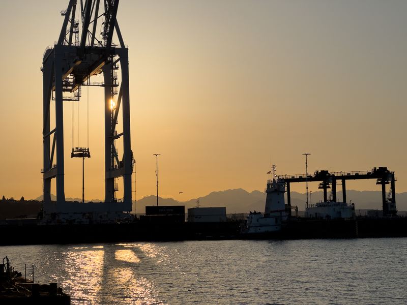 Cranes at sunset